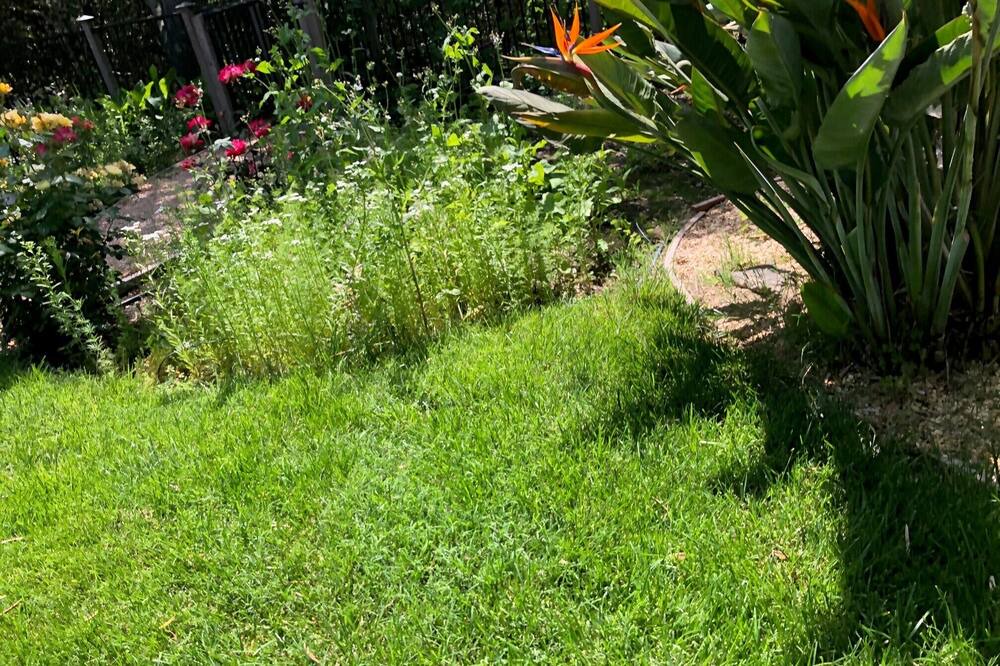 Photo of Outdoor in Santa Rosa