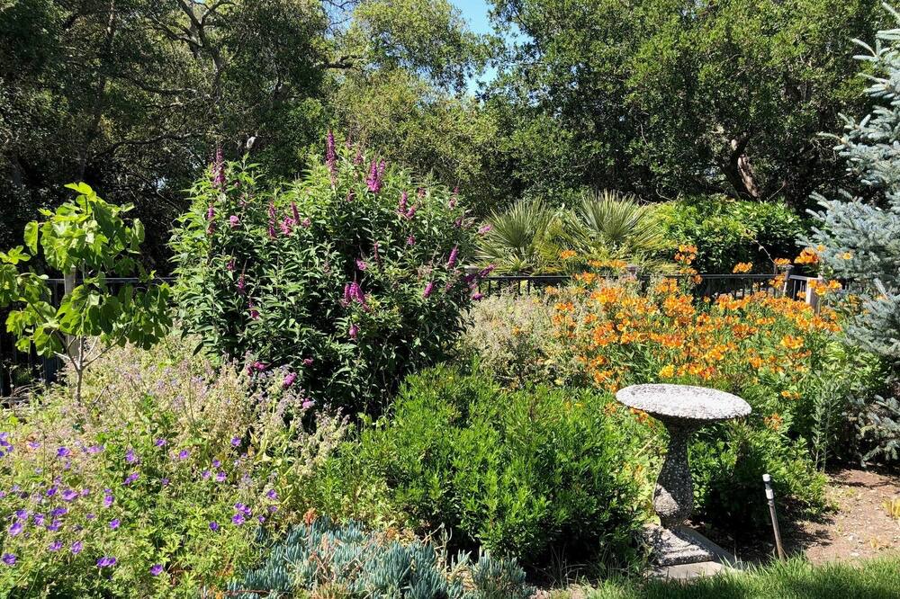 Photo of Outdoor in Santa Rosa