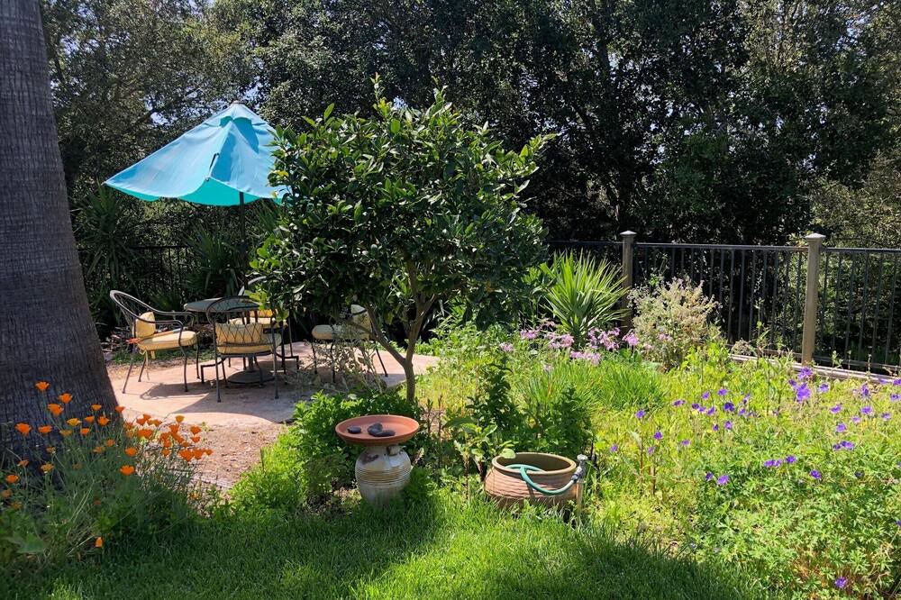 Photo of Outdoor in Santa Rosa
