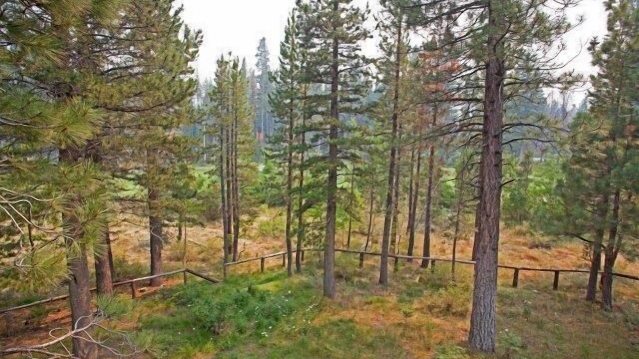 Photo of Others in Mammoth Lakes