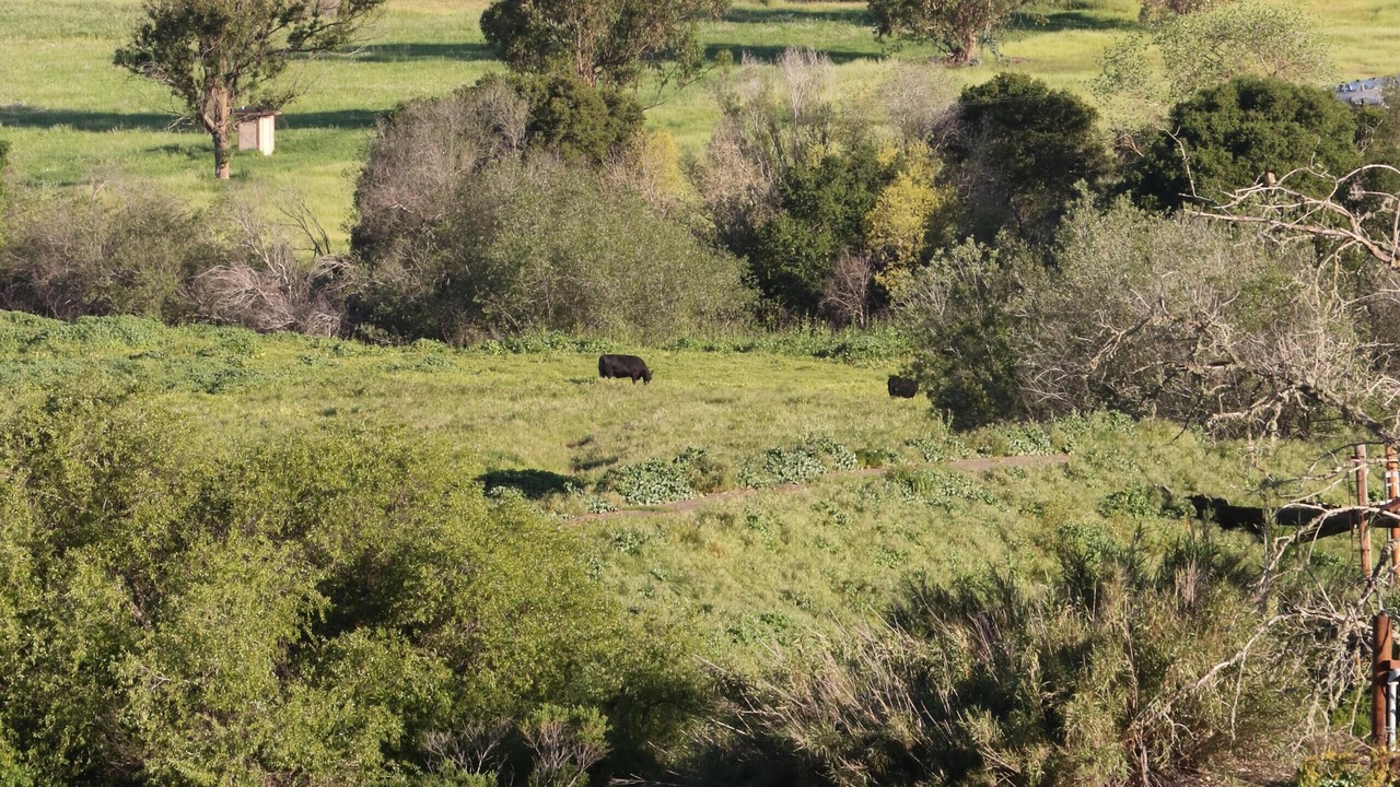 Photo of Others in San Luis Obispo
