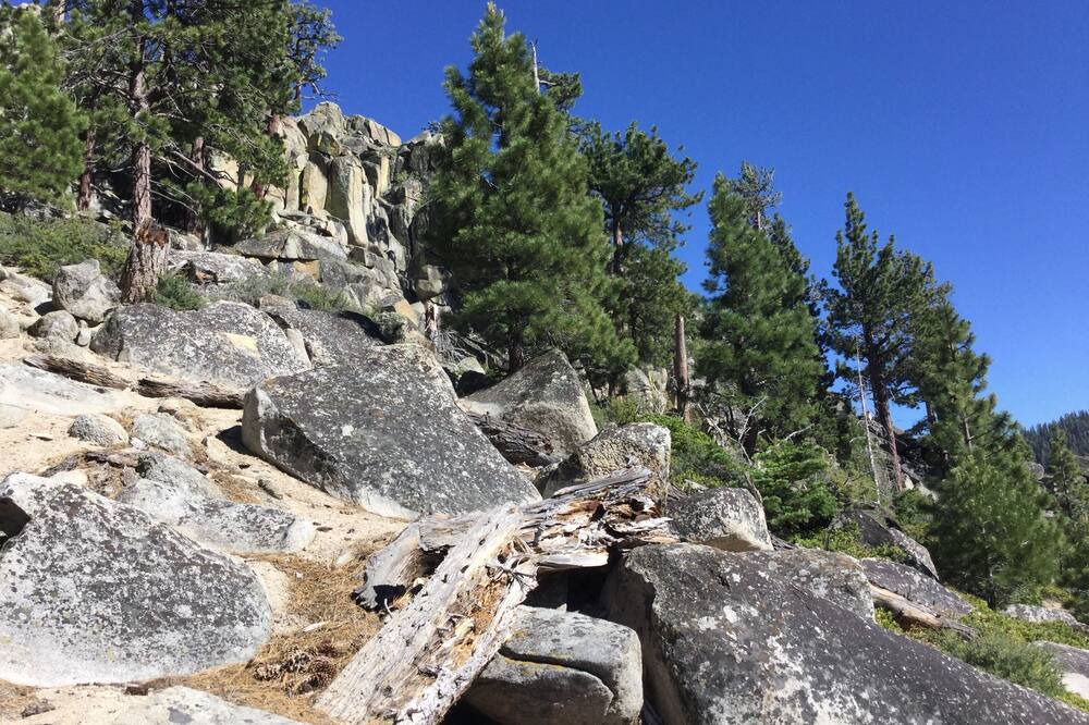 Photo of Others in Tahoe Village