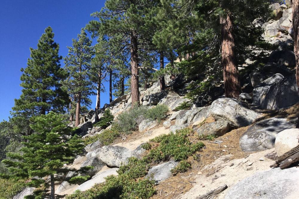 Photo of Others in Tahoe Village