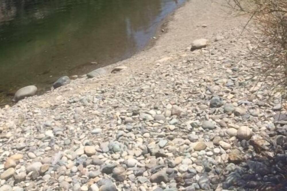 Photo of Others in Lakehead-Lakeshore