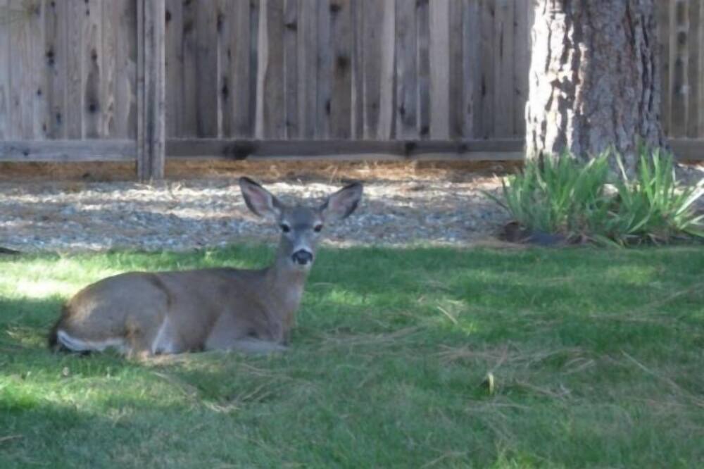 Photo of Outdoor in Lakehead-Lakeshore
