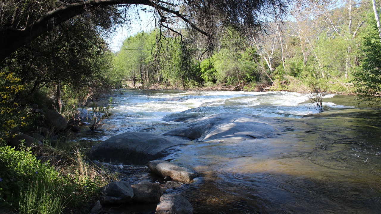 Photo of Others in Kaweah