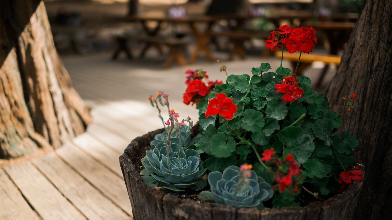 Photo of Outdoor in Silver City