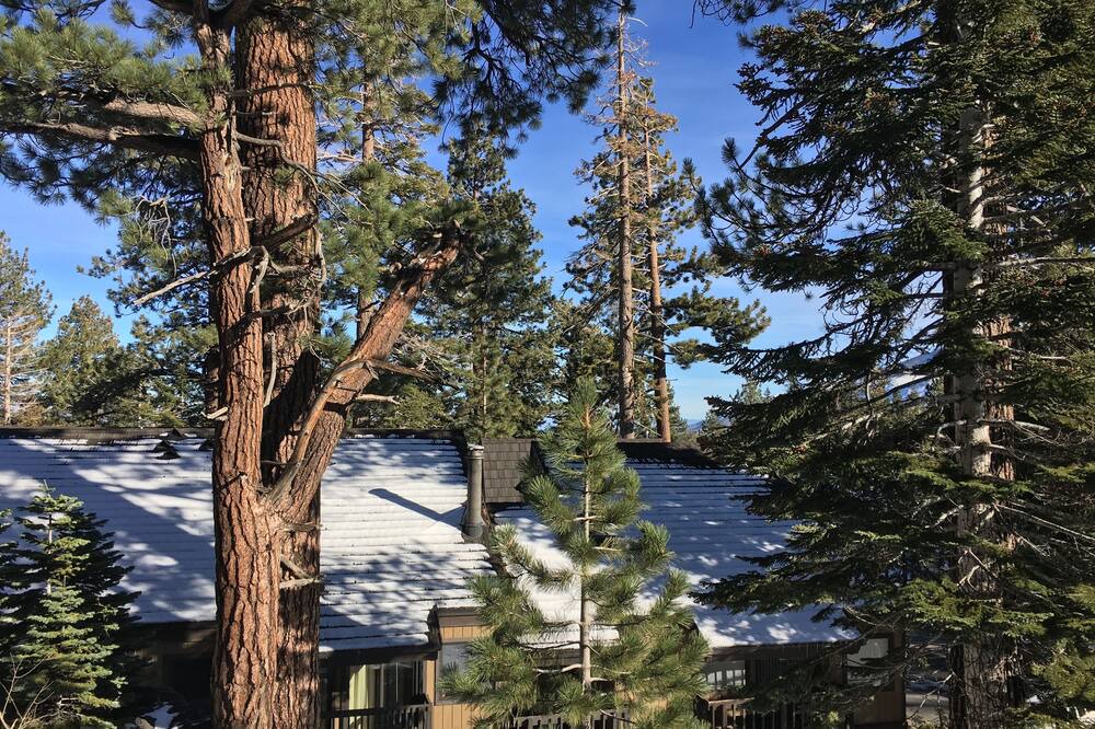 Photo of Patio Balcony in Majestic Pines