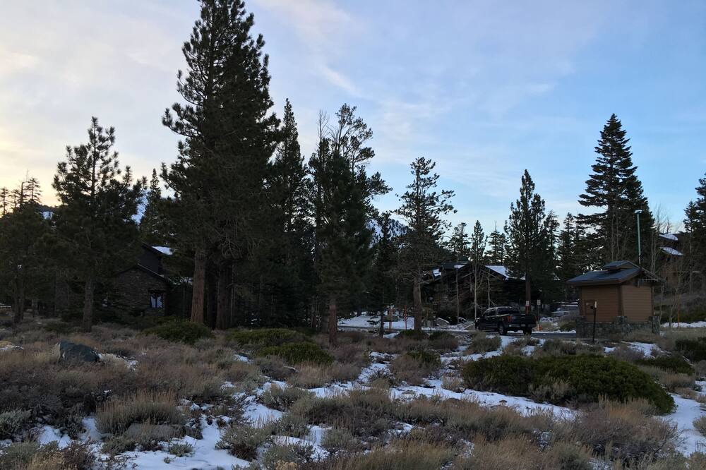 Photo of Others in Majestic Pines