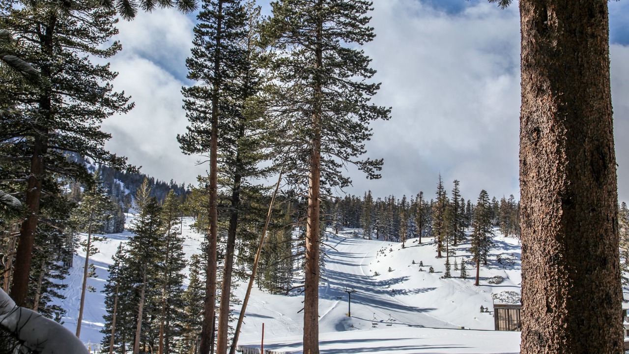 Photo of Others in Mammoth Lakes