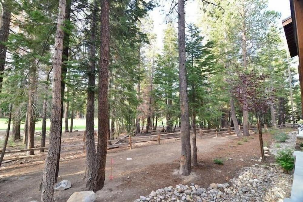 Photo of Outdoor in Woodwinds