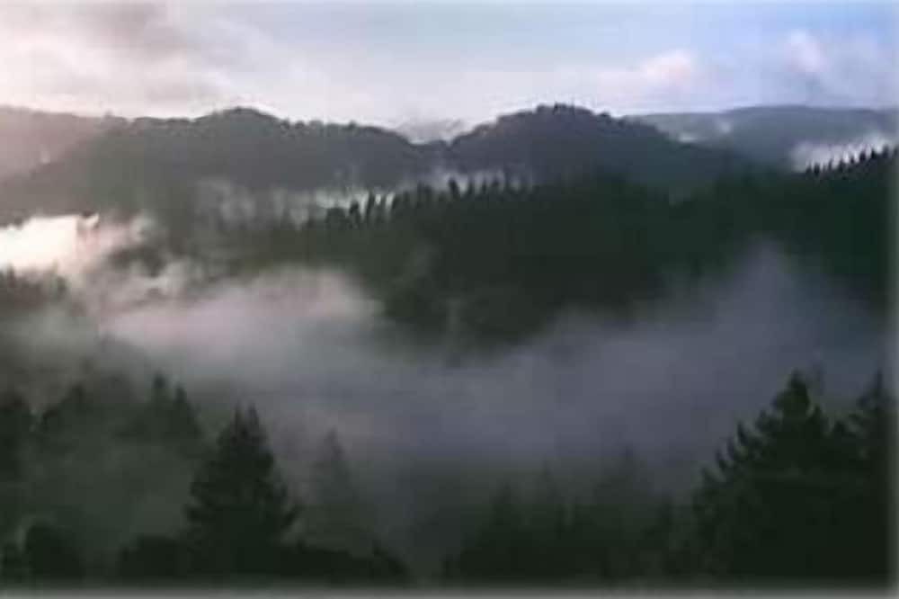 Photo of Others in Lagunitas-Forest Knolls