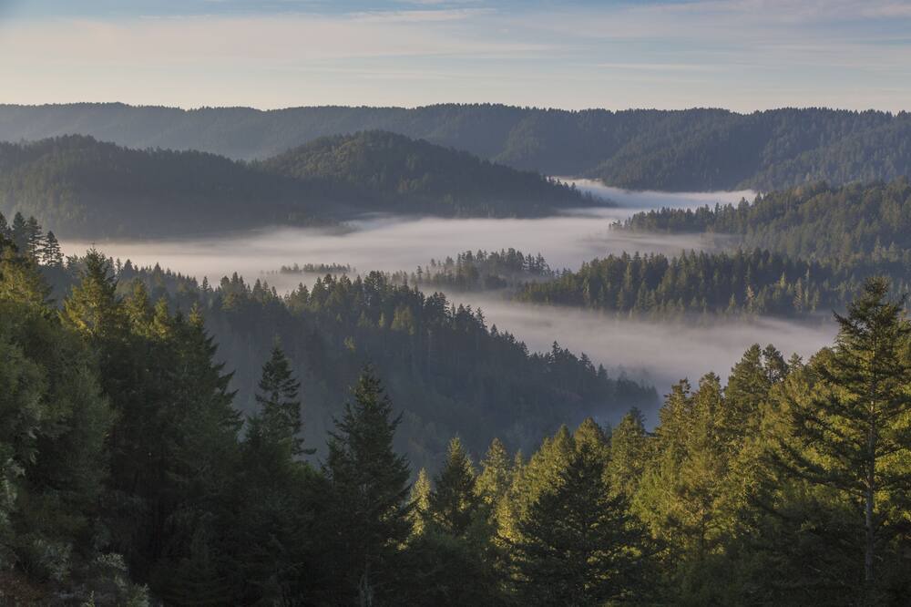 Photo of Others in Lagunitas-Forest Knolls