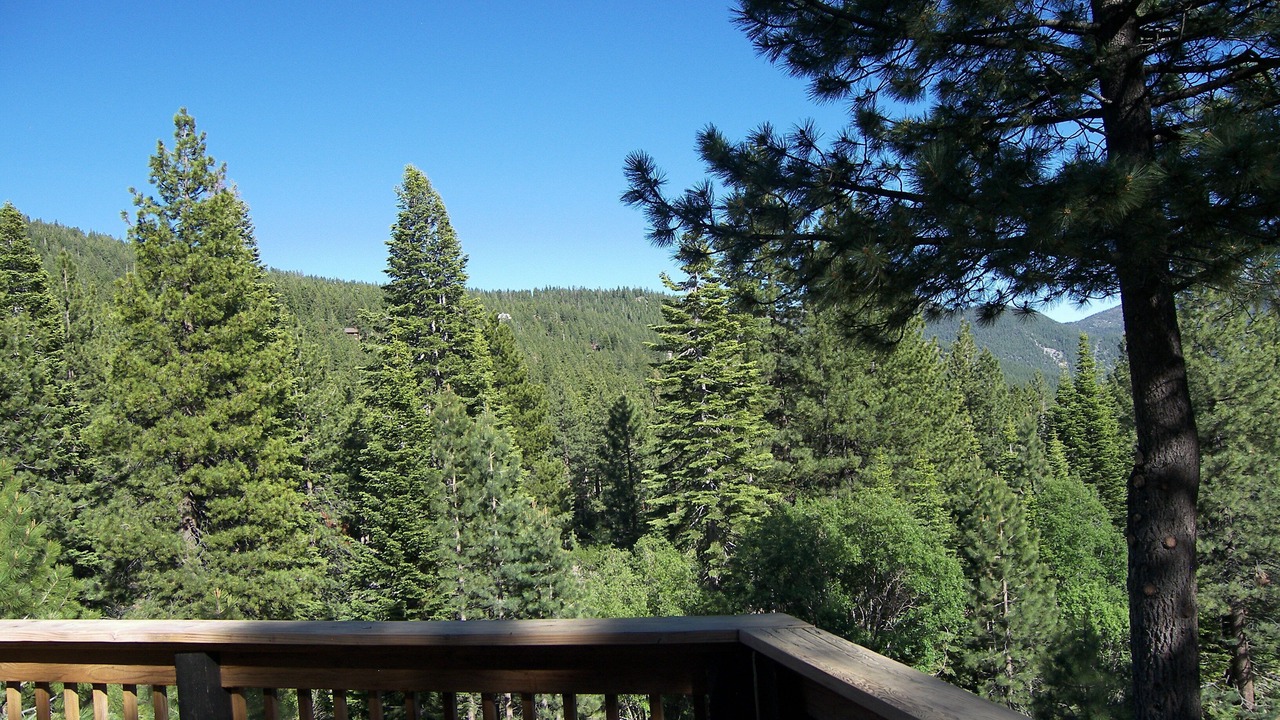 Photo of Outdoor in Incline Village