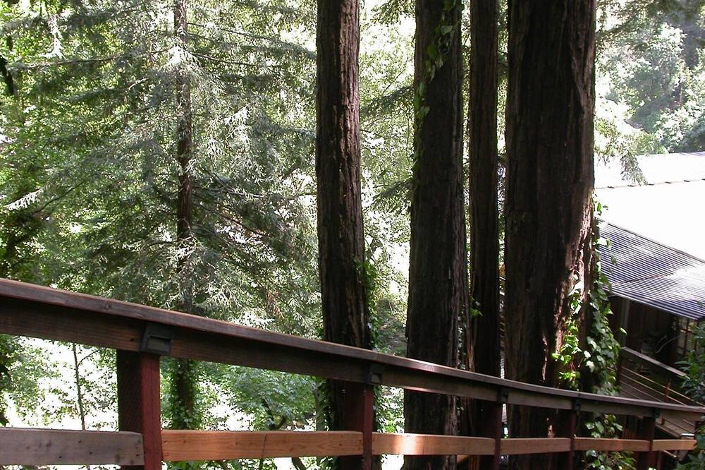 Photo of Outdoor in Ben Lomond