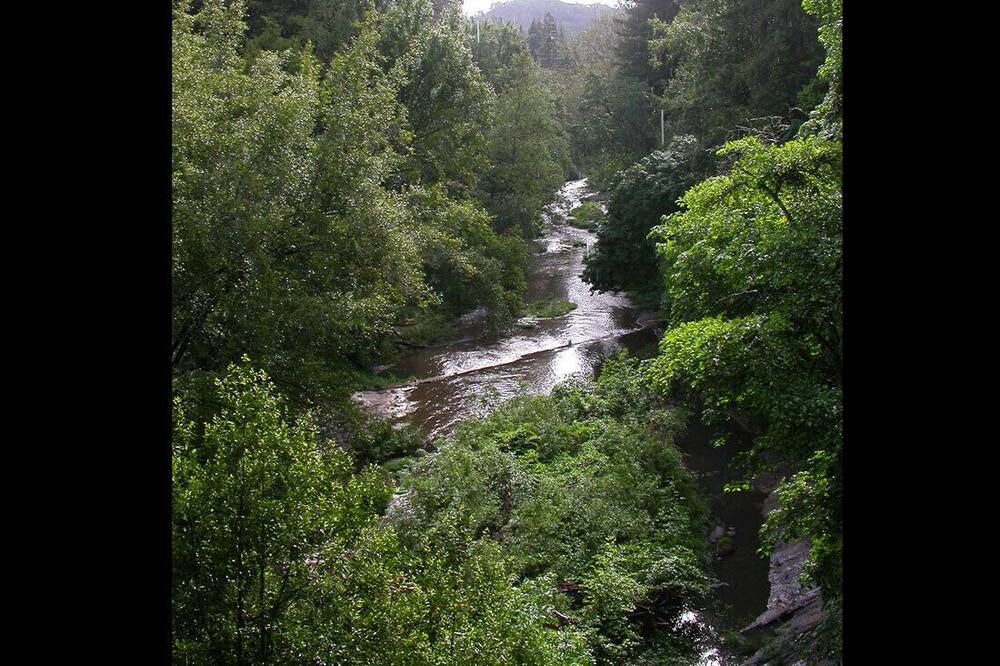Photo of Others in Ben Lomond