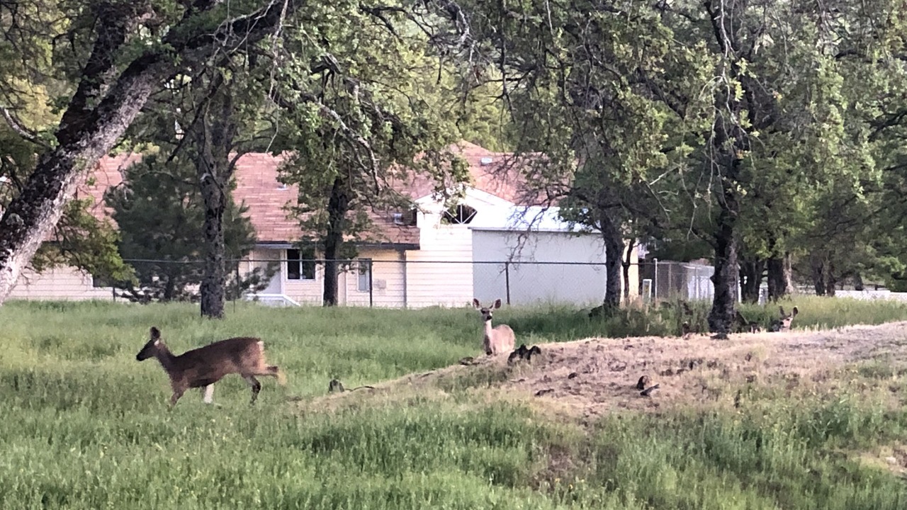 Photo of Others in Copperopolis