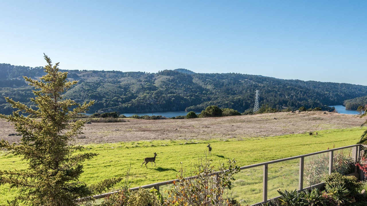 Photo of Others in Highlands-Baywood Park