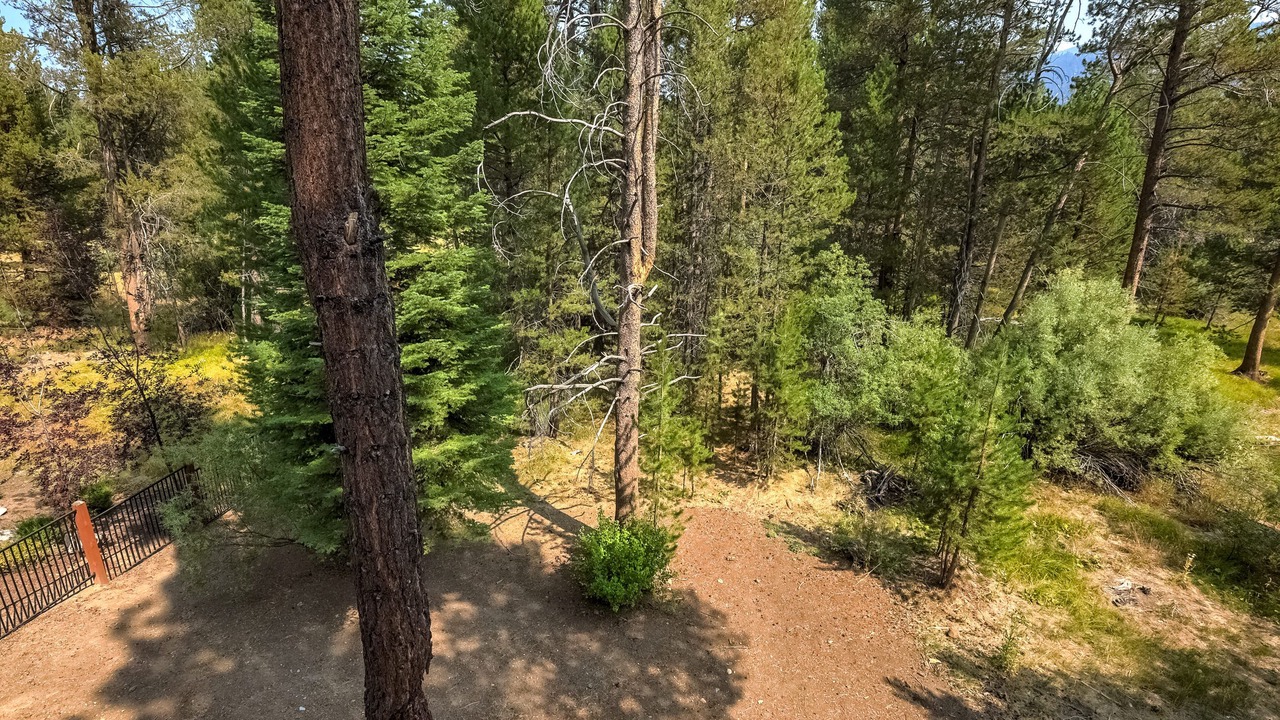 Photo of Outdoor in Black Bart