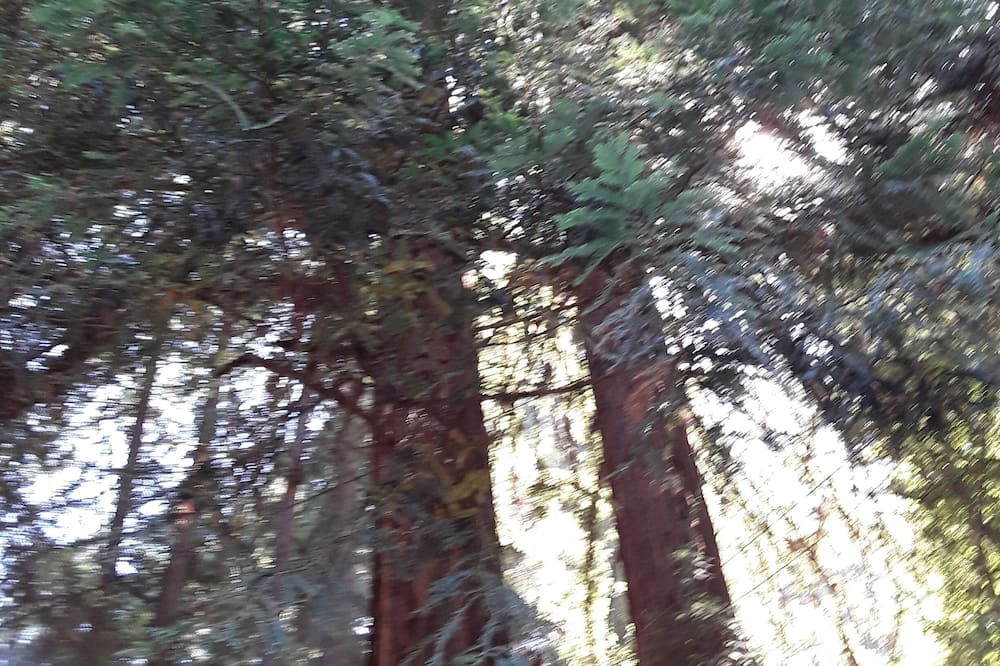 Photo of Outdoor in Holy City