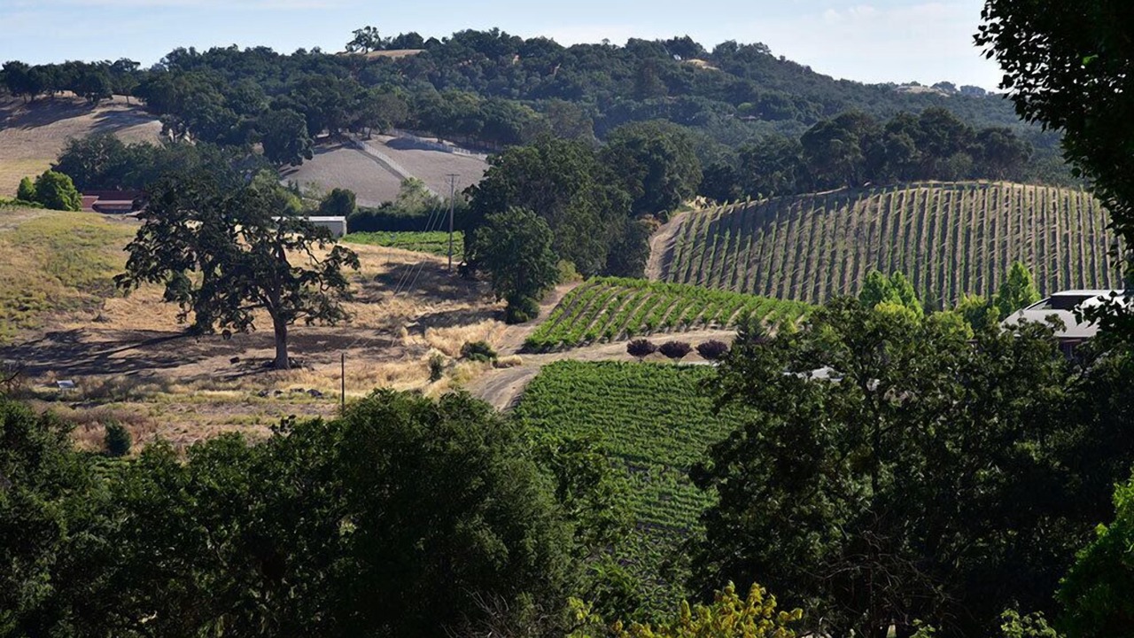 Photo of Outdoor in Paso Robles