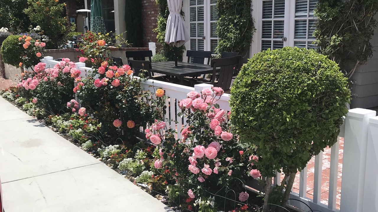 Photo of Outdoor in Newport Beach