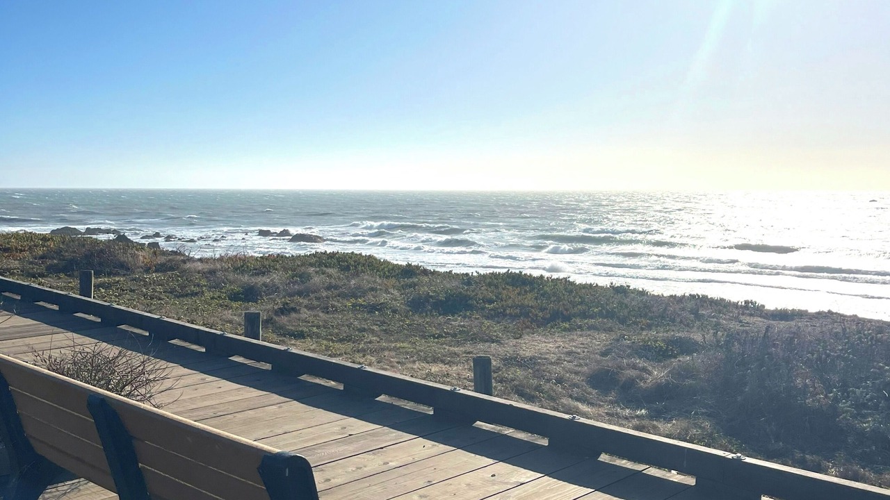 Photo of Others in San Simeon