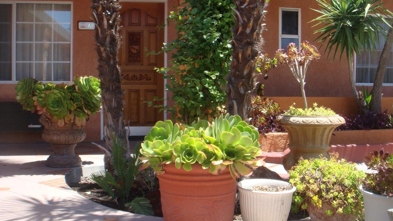 Photo of Outdoor in Los Banos