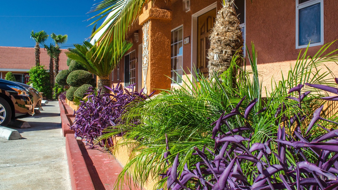 Photo of Outdoor in Los Banos
