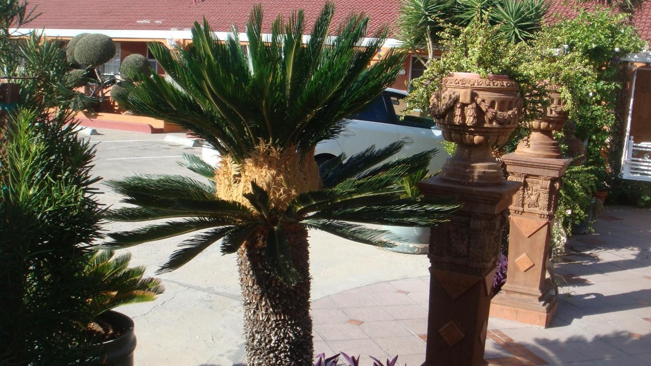Photo of Outdoor in Los Banos