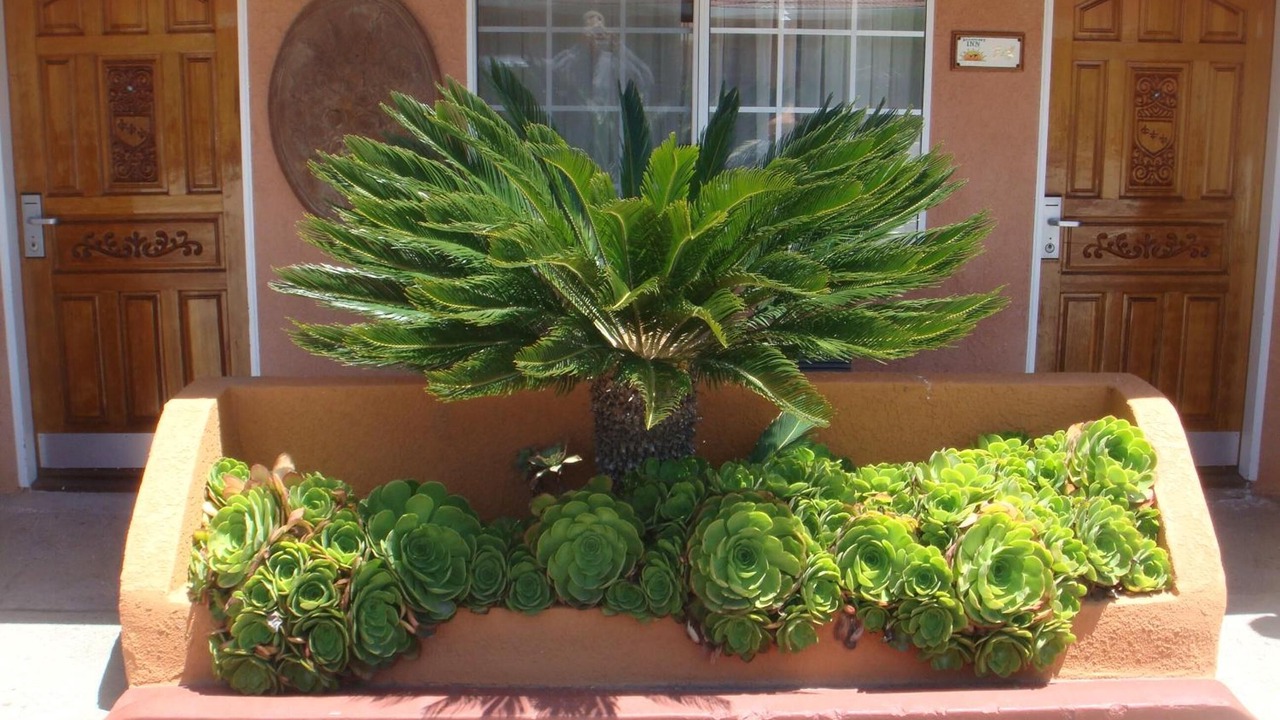 Photo of Outdoor in Los Banos