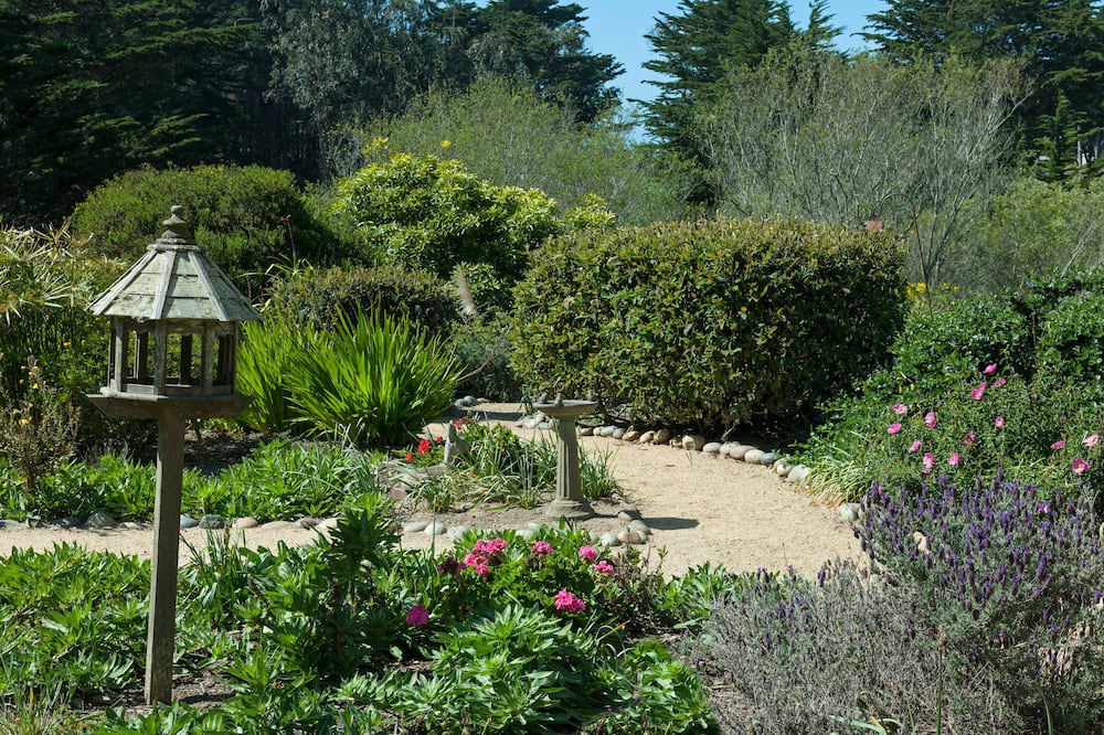 Photo of Outdoor in Moss Beach