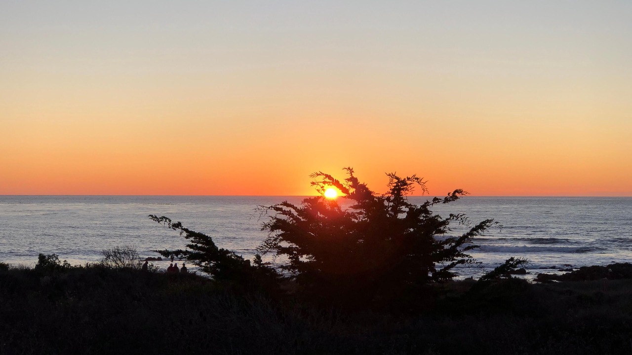 Photo of Others in San Simeon