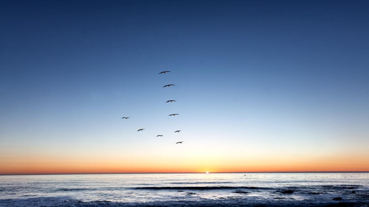 Photo of Others in San Simeon