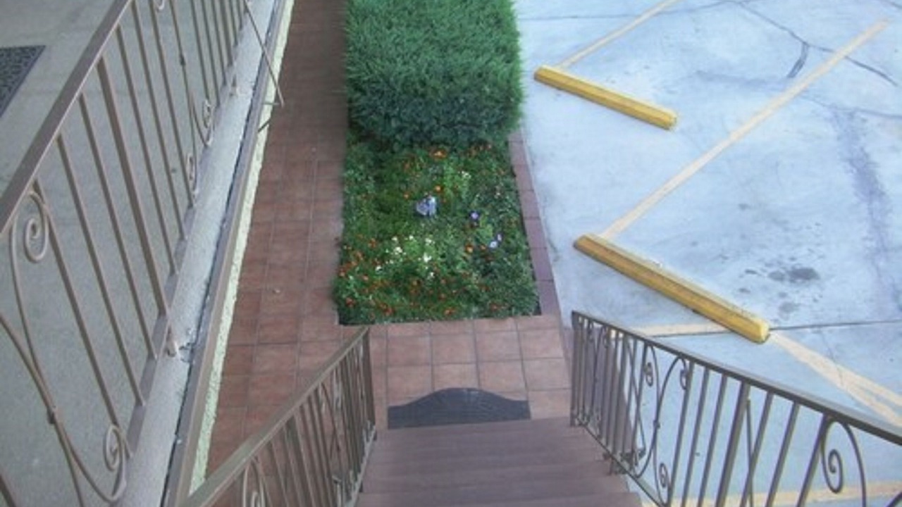Photo of Others in Bishop