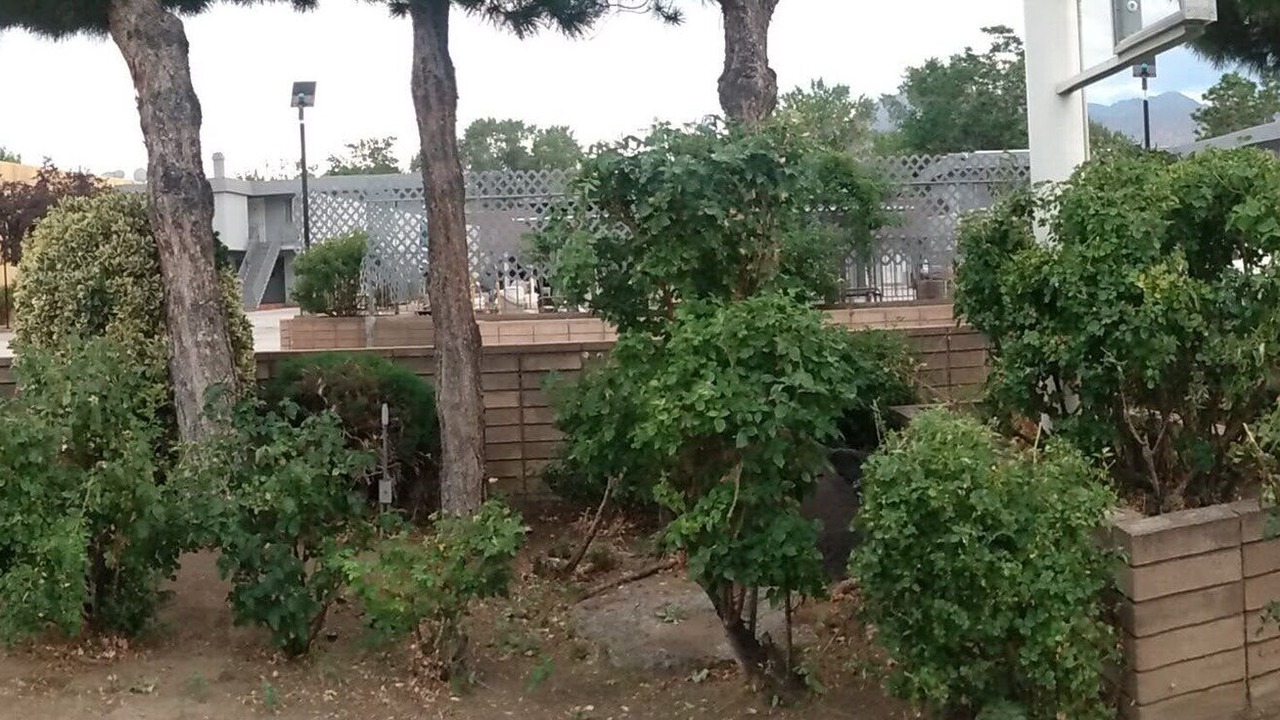 Photo of Outdoor in Bishop