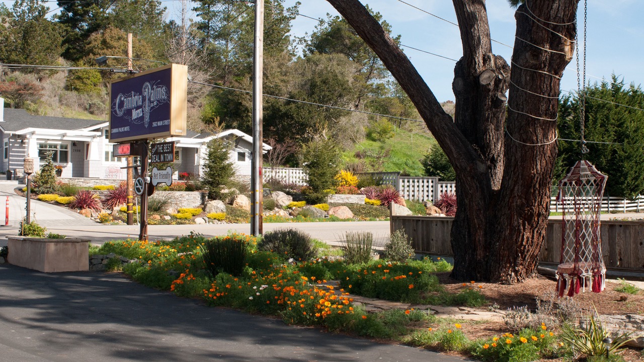 Photo of Others in Cambria