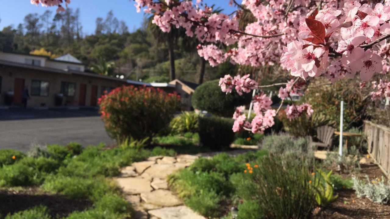 Photo of Outdoor in Cambria