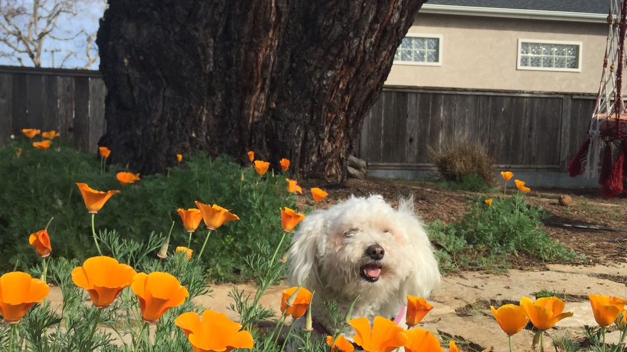Photo of Outdoor in Cambria