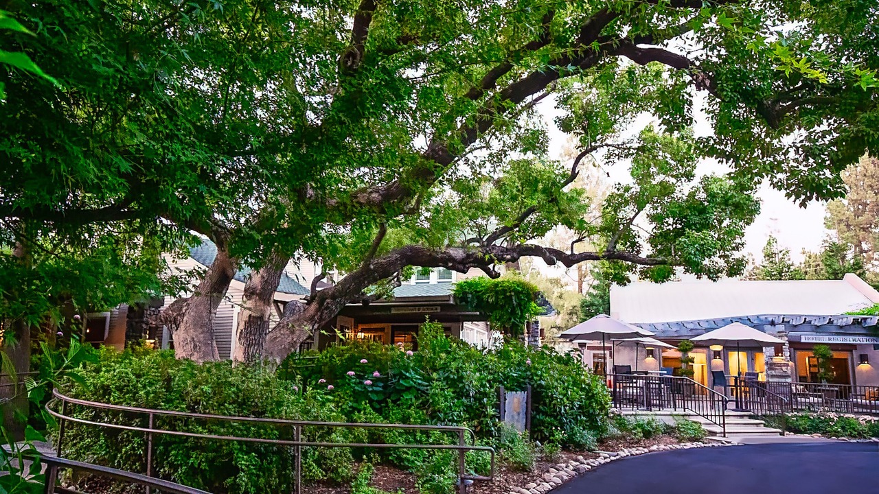 Photo of Outdoor in Lodi