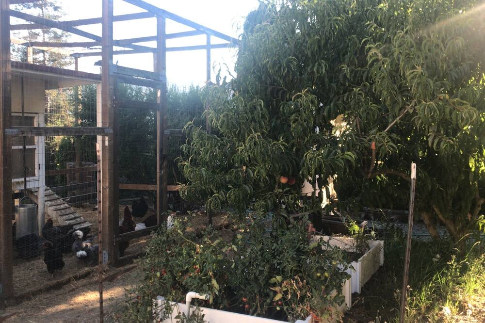 Photo of Outdoor in Orinda