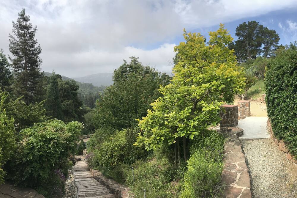 Photo of Outdoor in Orinda