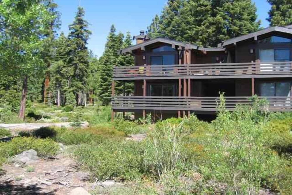 Photo of Others in Tahoe City