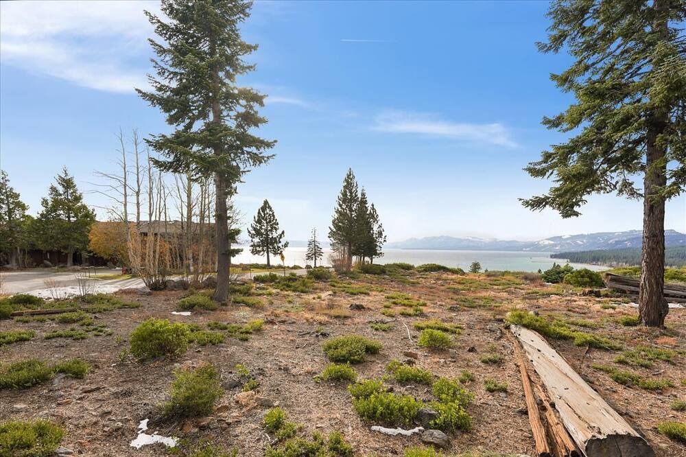 Photo of Others in Tahoe City
