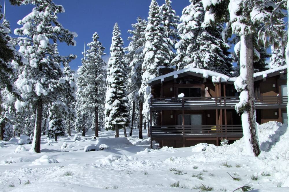 Photo of Others in Tahoe City