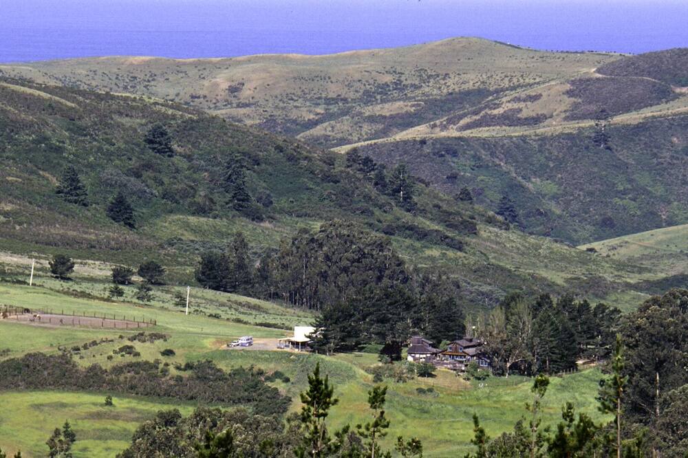 Photo of Others in Half Moon Bay