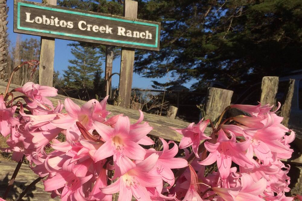 Photo of Others in Half Moon Bay