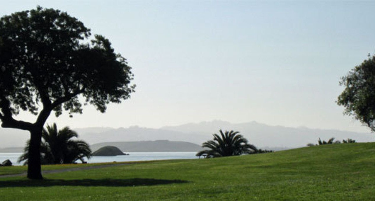 Photo of Others in San Rafael