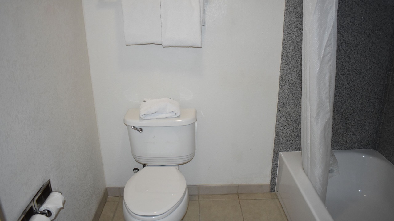 Photo of Bathroom in Belmont