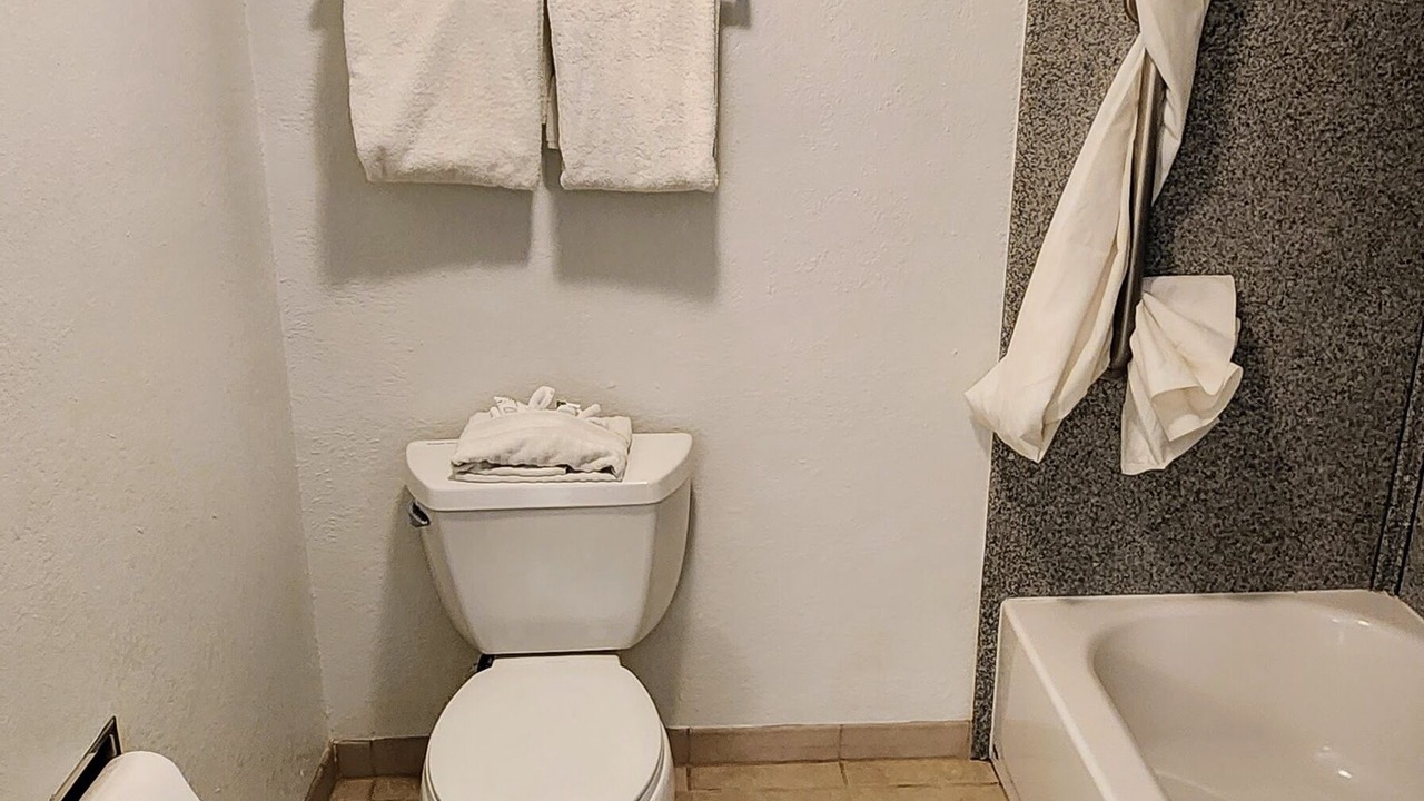 Photo of Bathroom in Belmont